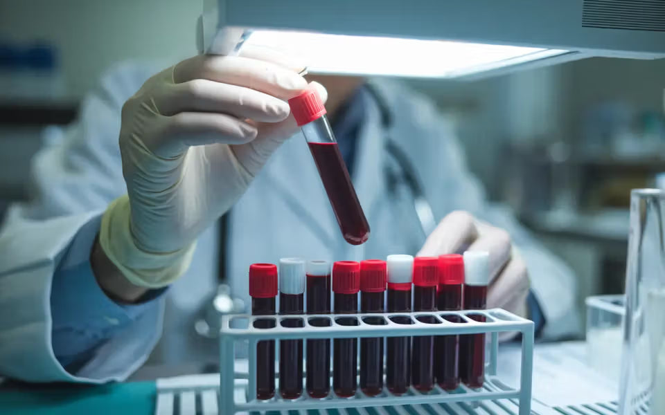 Blood types explained: Understanding A, B, O, and the Rhesus factor