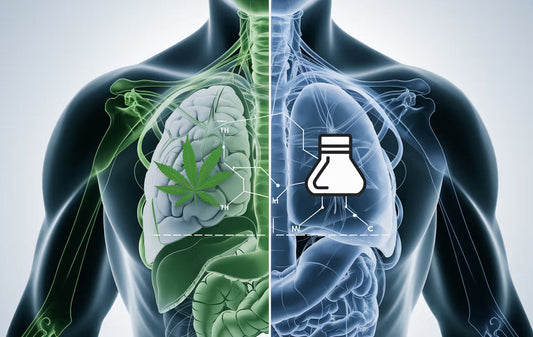 How long do drugs stay in your system? Cannabis and cocaine detection times explained