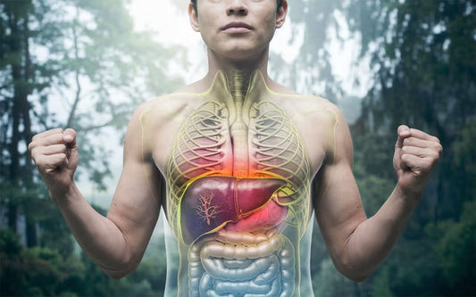 Why your liver needs TLC: silent symptoms, serious consequences