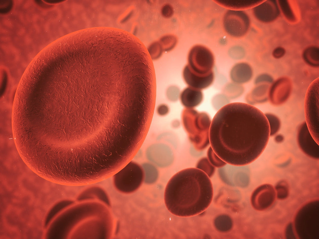 Red blood cells in blood