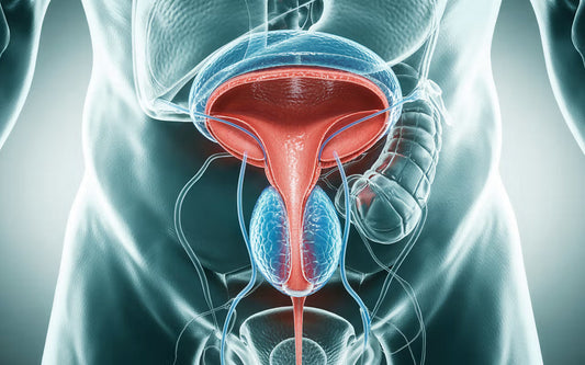 Prostate health decoded: Signs, risks and when to test